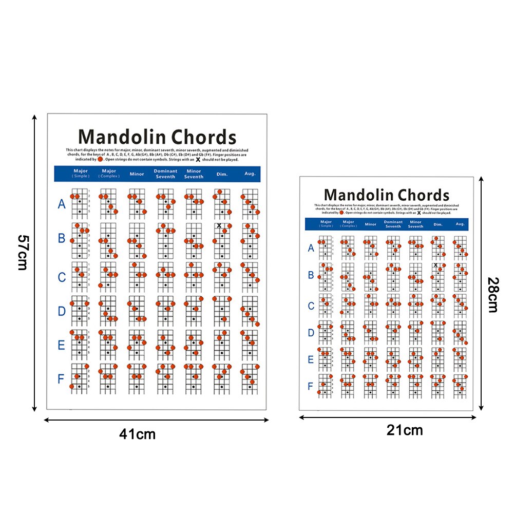 Mandolin Fretboard Chord Chart Finger Exercise Poster Coated Paper Fingering Diagram for Beginner