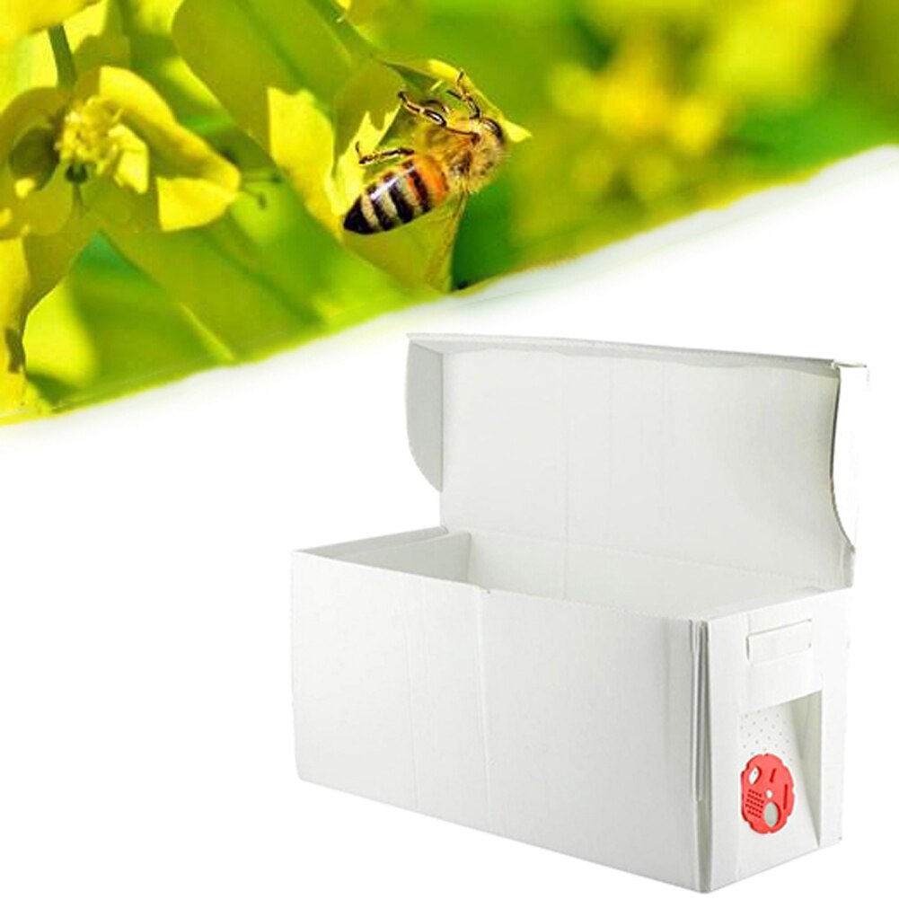 Faltbare Karton Nuc Box Bee Hive Bee Nuc Bienenzucht Imker Ausrüstung Faltbare Bee Box für Bauernhof Garten Beeworking Mit