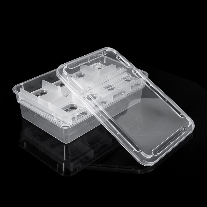 Caja incubadora de reptiles, bandeja para huevos, Gecko camaleón, herramienta de incubación