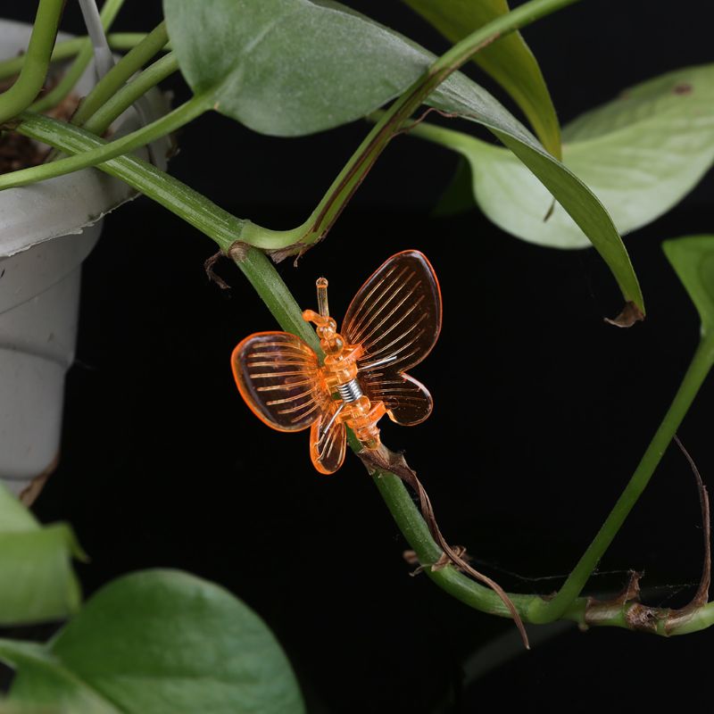 30 stk søde sommerfugle orkidé klip plante klip have blomst vin støtte klips