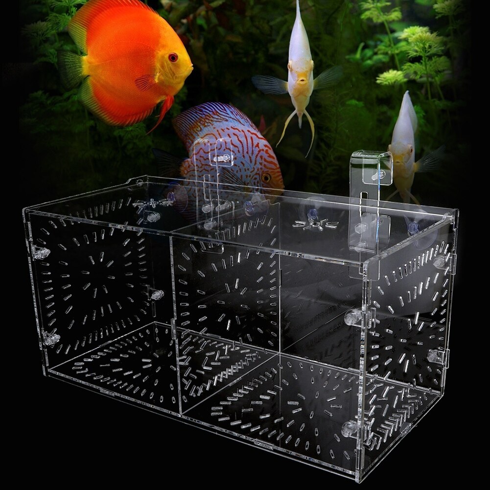 Acrylic Fish Breeding Isolation Box Aquarium Fish Tank Hatchery Incubator with Suction Cups Hook Baby Fishes Shrimp Fish House