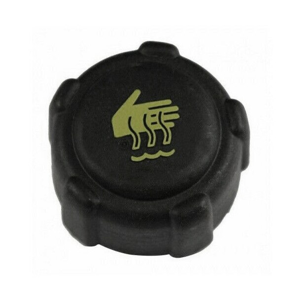 Car Radiator Expansion Water Tank Cap for Renault Clio Kangoo Laguna Megane: Default Title