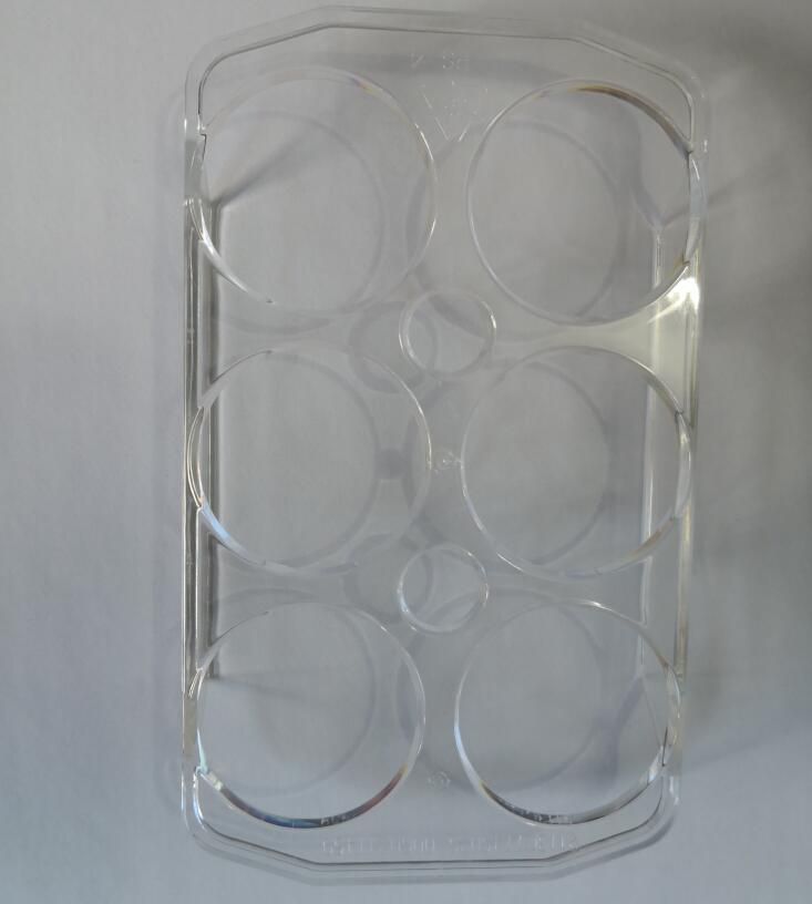 Koelkast Onderdelen 6 gaten Transparante plastic ei case vervanging voor Haier Universele Koelkast 159X95X23mm