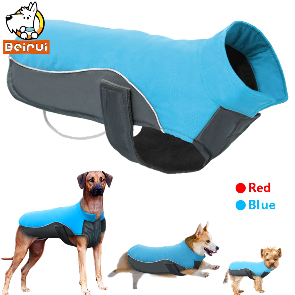 Veste imperméable et réfléchissante pour chien, – Grandado