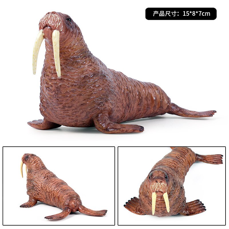 15*8*7CM Children simulation marine wild animal plastic model solid walrus static animal model toy decoration