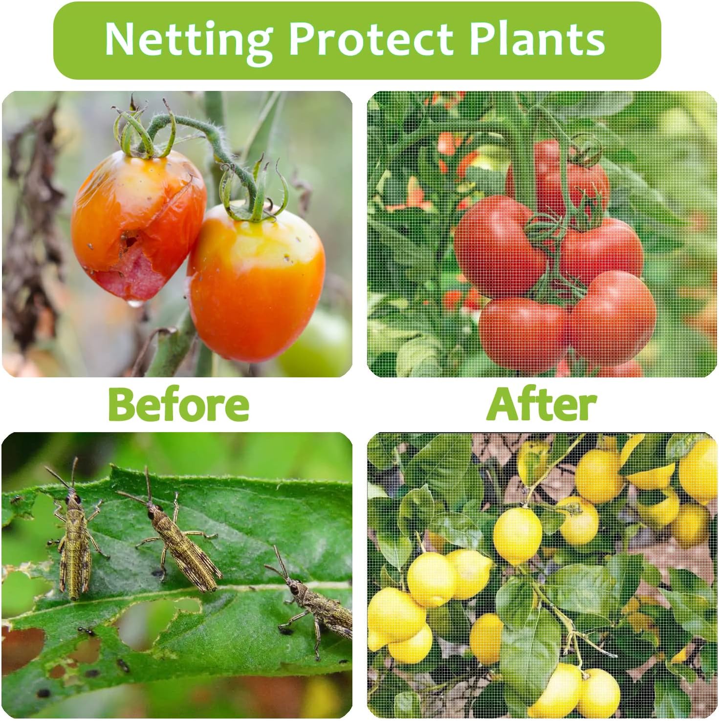 2 mallas protectoras para plantas, para tomates, para jardín, para protegerlas de insectos, aves y verduras.