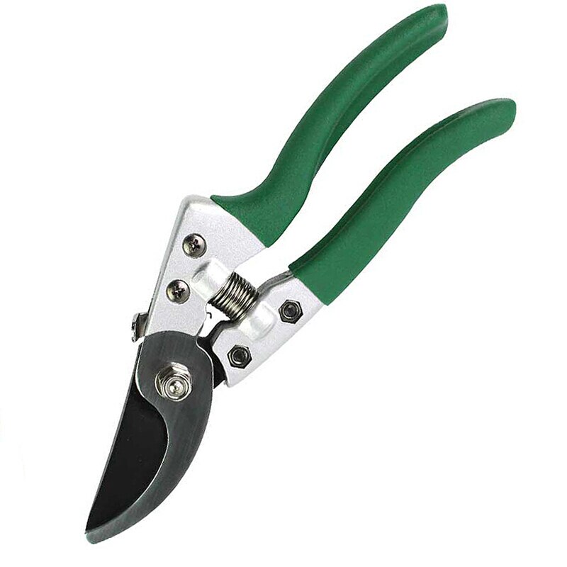 LAOA SK5 sécateur sécateur ciseaux Horticulture arbre fruitier cisailles Rose Cippers bonsaï jardinage sécateur outil de greffage: LA141408