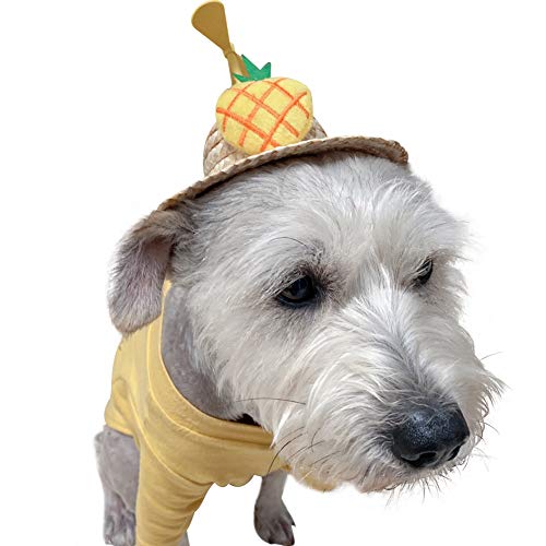 LVTUBANLV Adjustable Cute Mini Pet Sombrero Dog Straw Hat Cat Woven Hat Puppy Sun Bucket Cap for Small Dogs Puppy Cats Supplies: Pineapple / 14CM