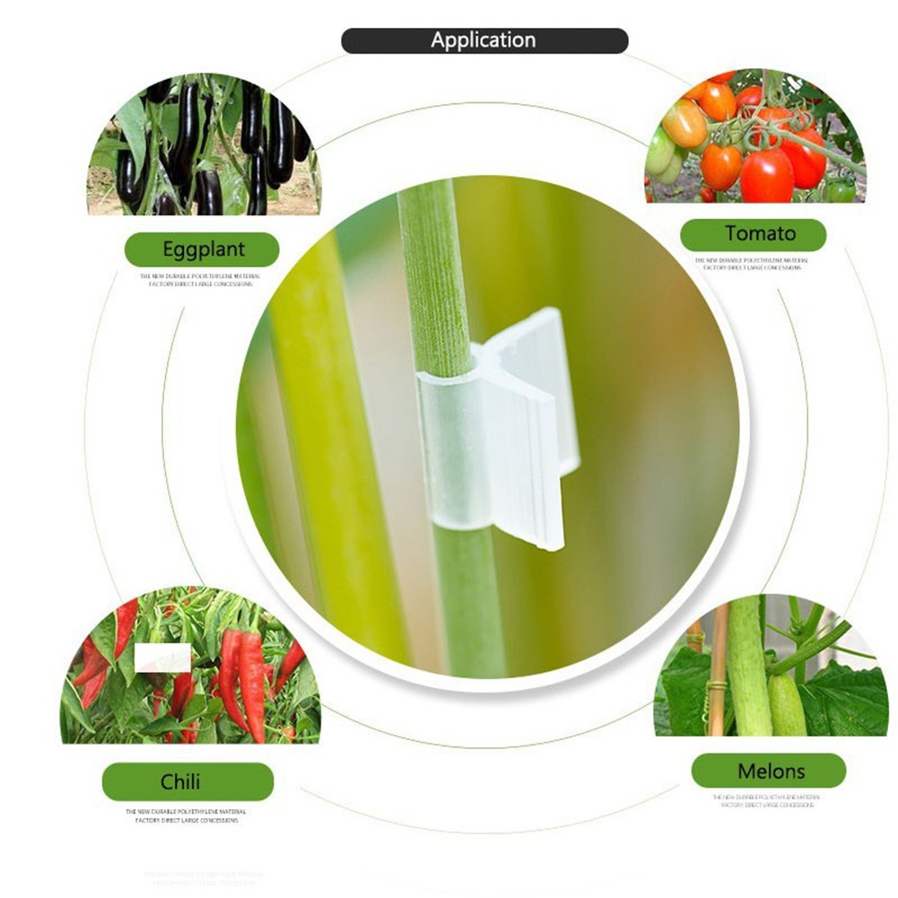 Pinces de greffage agricole, 20 pièces, 2/3/4.5mm, légumes, fruits, plantes, tomates, pastèque, pince de Support, accessoires de jardinage