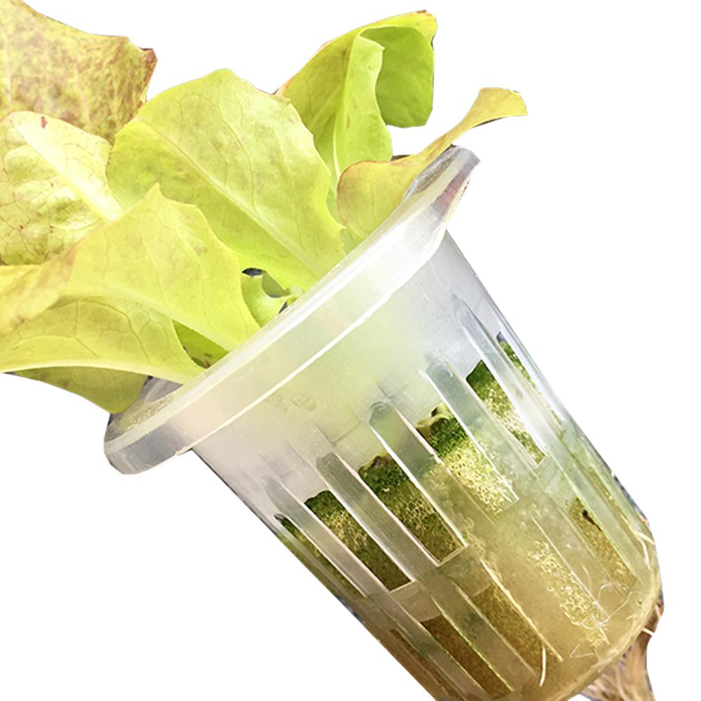 SOLEDI Plastic Durable Nursery Pots Soilless Hydroponic Plant Grow Organic Green Vegetable Reusable Mesh Net Pots