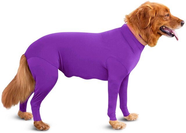 Große hunde, dünne kleidung, all-inclusive-vierbeiner-body, hauspyjama für hündinnen, stillen, absetzen, sterilisation, haustierkleidung: Lila / S