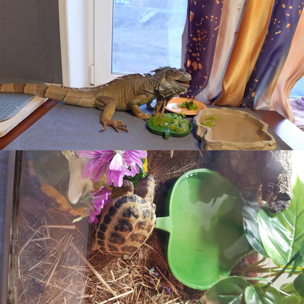 2 st amfibier reptiler matare skål bladform reptil terrarium utfodringsbassäng sköldpadda ödla skål vatten fontän för sköldpaddor