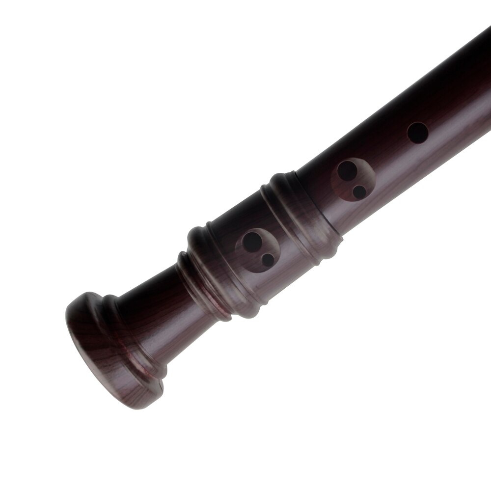 Soprano Recorder German Style 8 Hole Flute with Cleaning Rod and Case for Student, Beginner