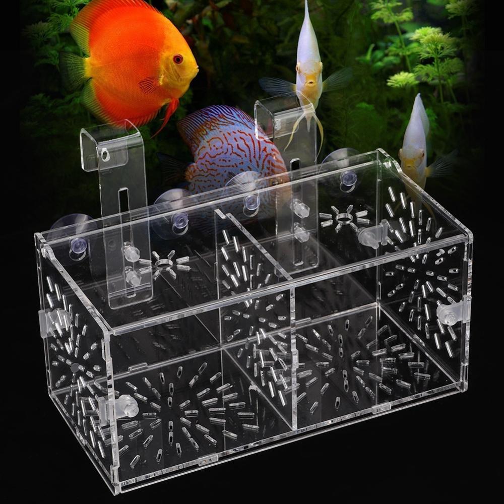 Transparent Acrylic Fish Tank Breeding Isolation Box Aquarium Hatchery Fish Breeding Incubator Holder