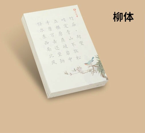 Chinese Copybook Small Regular Script Shou Jin Ti Copybooks Brush Pen Caligrafia Copybook Child Basic Poem Calligraphy Copybooks: A 240sheets