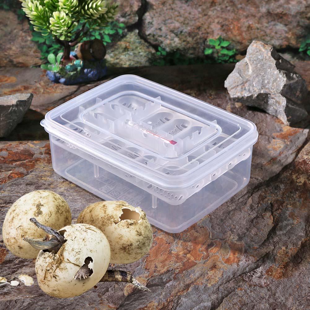 Plástico práctico 16 rejillas Reptiles de plástico bandeja para incubar huevos serpiente, lagarto huevos caja de incubadora herramienta de incubación terrarios