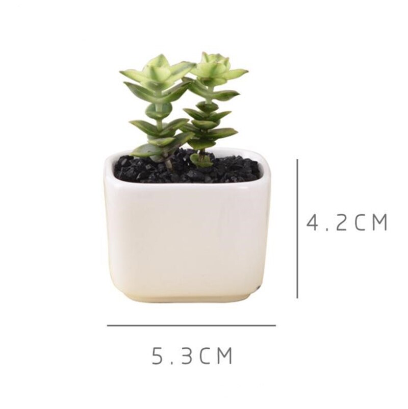 Brief White Ceramic Flower Pot Small Square Green Plant Holders Flower Container Pot Desk Balcony Garden Mini Plant Pot