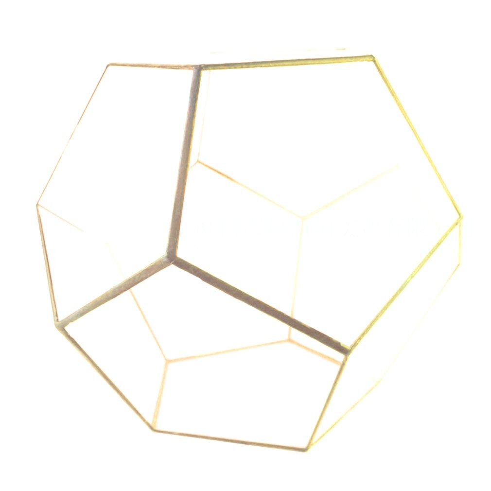 Dodecaëder Glas Kas Groene Plant Transparante Creatieve Mos Micro Landschap Vlezige Bloempot