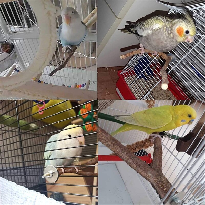 Vogelspielzeug Set 8-teilig - Naturholz Spielzeug Für Wellensittiche & Papageien