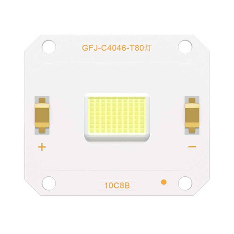 Projectoren Schijnwerpers Geïntegreerde LED LED-lamp 100W High Power LED-diodes Spotlamp Huishoudelijke lamp