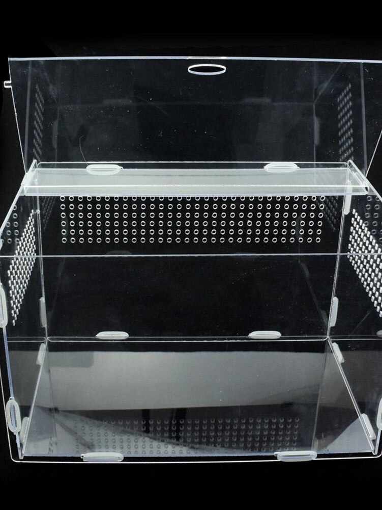 Trasparente grande durevole acrilico terrario rettile scatola forniture per animali domestici per animali a sangue freddo rettile animale domestico insetto decorazione della casa