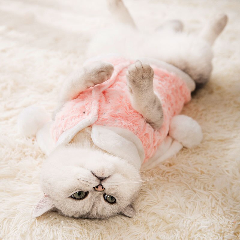 Cat Clothes Flannel Vest Kitten Kittens Spring and Autumn Pet Clothes Spring Cat Clothing