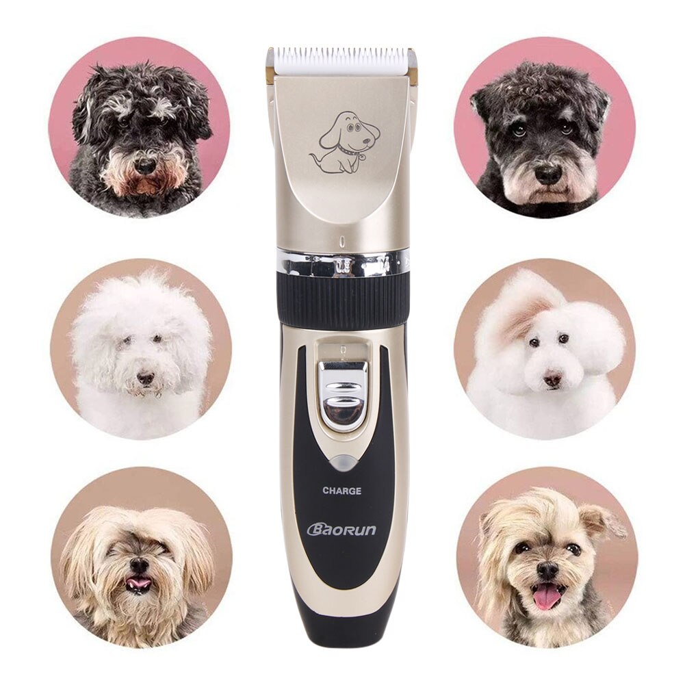 Tondeuse professionnelle pour poils d'animaux Silver - INF