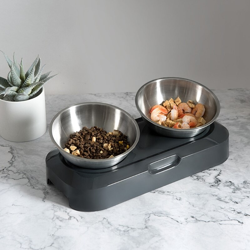 Honden- en kattenvoerbakken met verhoogde standaard, voerbak voor huisdieren, 15 ° gekanteld platform, antislip drinkbak voor puppy en kitten