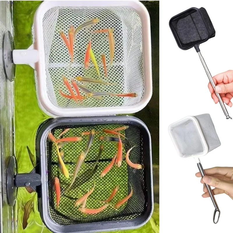 Rede de pesca de aço inoxidável, à prova de ferrugem, resistente à corrosão, para capturar peixes, camarão, tanque, acessórios de aquário