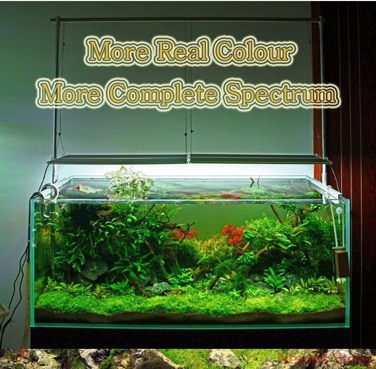 BAIFULAI Aquarium Lampe 10W LED - Clip-Beleuchtung Weiß & Blau