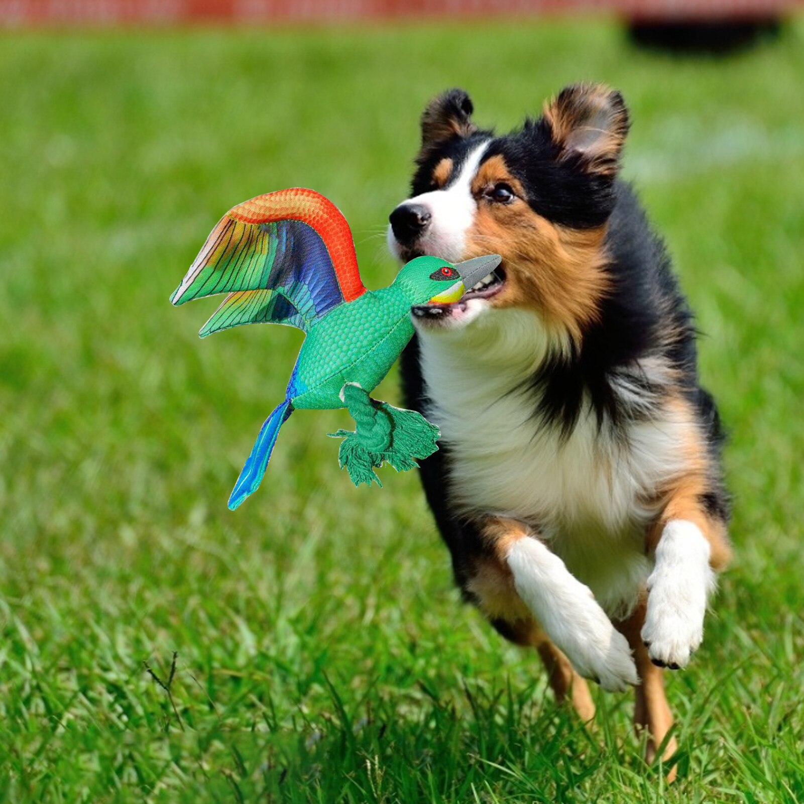 Aquila giocattolo per animali peluche interattivo divertente corda di cotone allevia la vuota cucciolo cigolante giocattoli da masticare addestramento cucciolo di animale domestico forniture regali 2021