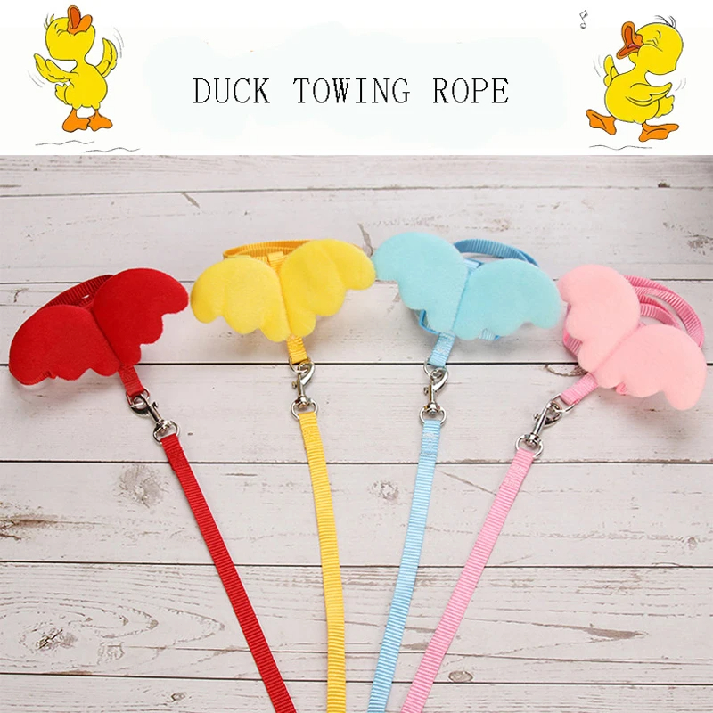 Harnais réglable laisse corde chat et chien pour canard petits animaux formation marche remorquage corde fournitures pour animaux de compagnie