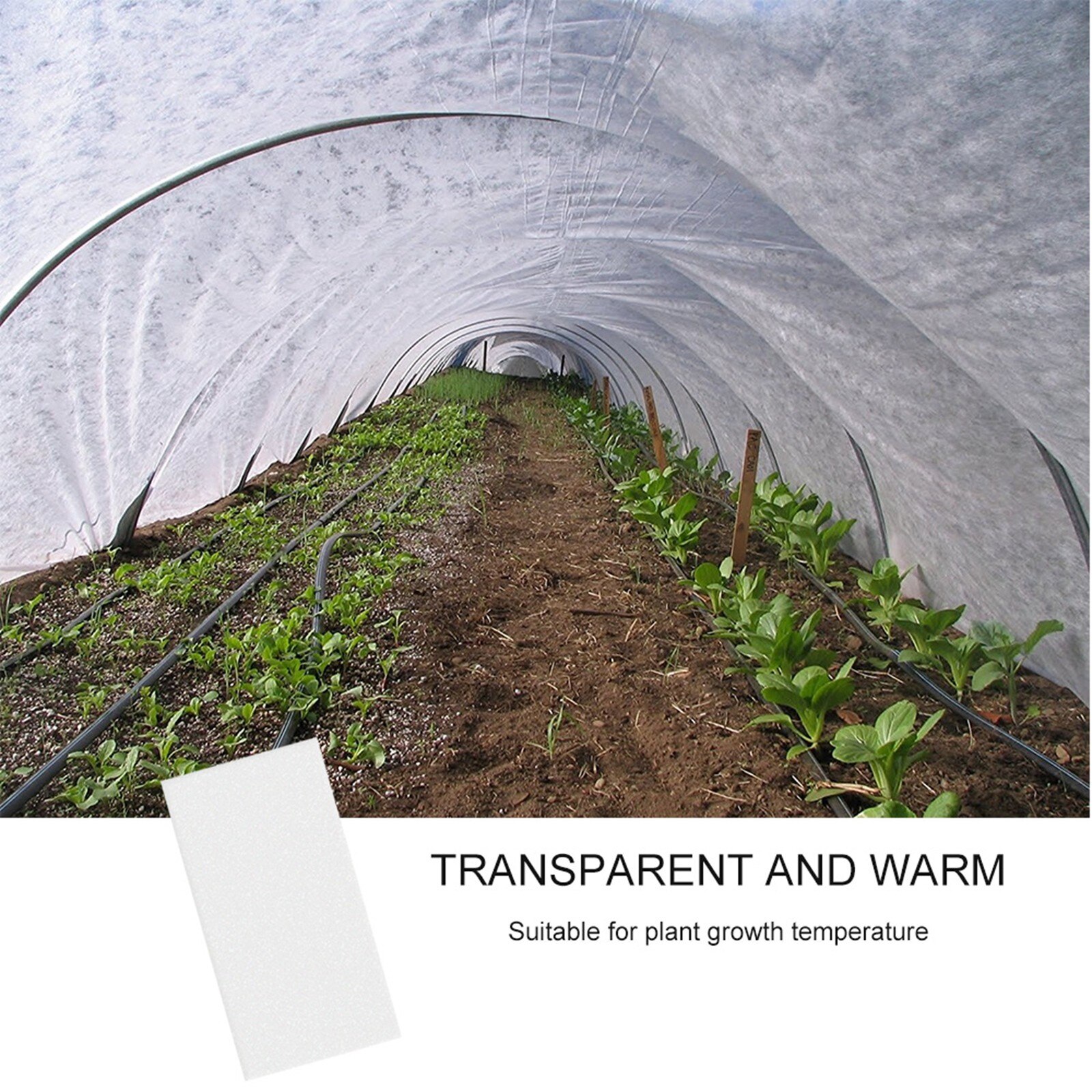 Various Sizes Of Plant Protection Cover Floating Crop Cover/Frost Blanket/Frost Cloth/Winter Garden Fabric Plant Protection c50