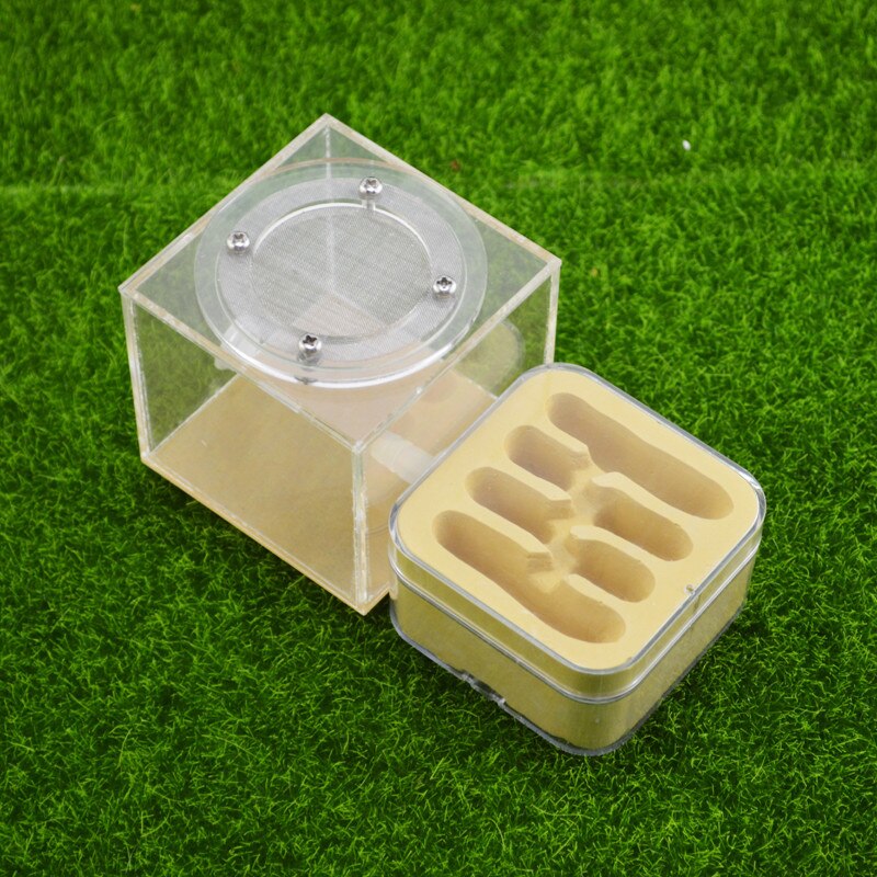 Ant Workshop Ecological acrylic Ant Nest Acrylic Sand Nest Sandcastle Home Living for Ants