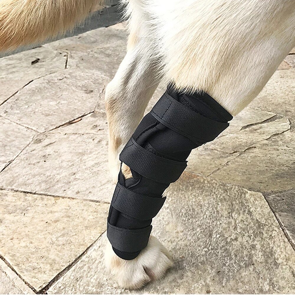 Hund leggings sæt kæledyr benskade anti-twist betændelse faste genopretningsstropper indpakket ben armbånd beskytter sår og skade