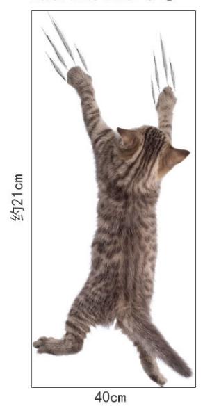 1 Piece 3D Cat Stickers, Family Wall sticker Decals, Window, Bedroom, Bathroom, Bath Seat Decor, Kitchen Accessories: HM1SK2006