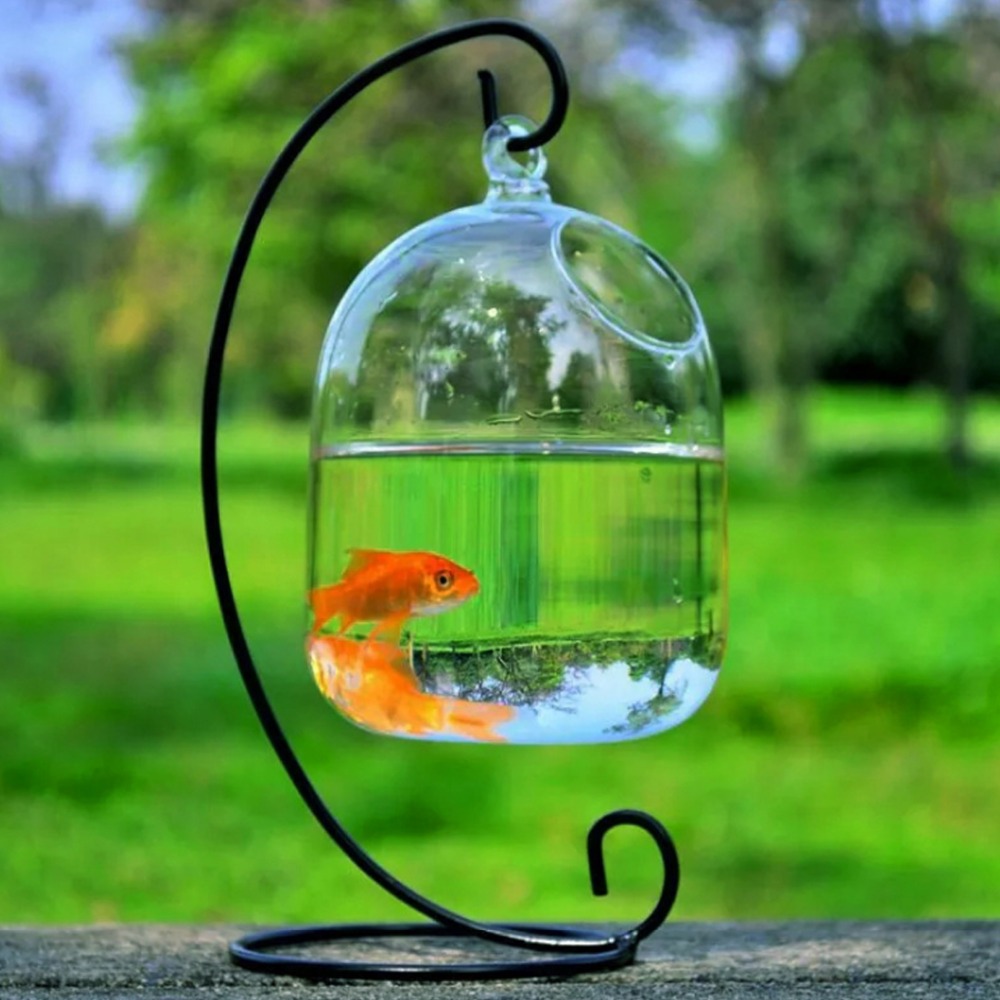 Klar PETFORU 15cm Höhe Hängen Glas Aquarium Fisch Schüssel Fisch Tank Blume Pflanze Vase mit 23cm Höhe Weiß rack Fishbowls