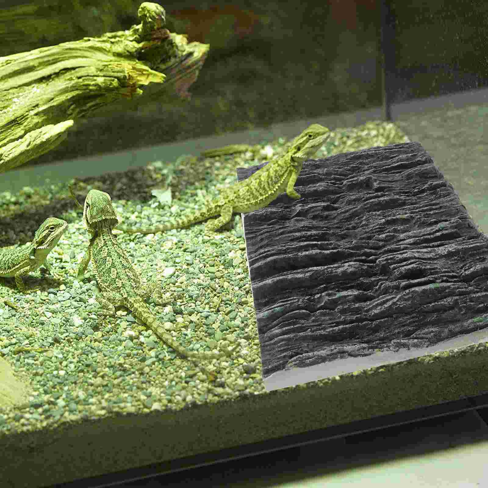Fondo de terrario 3D para reptiles, decoración de fondo, Vivarium, 1 unidad
