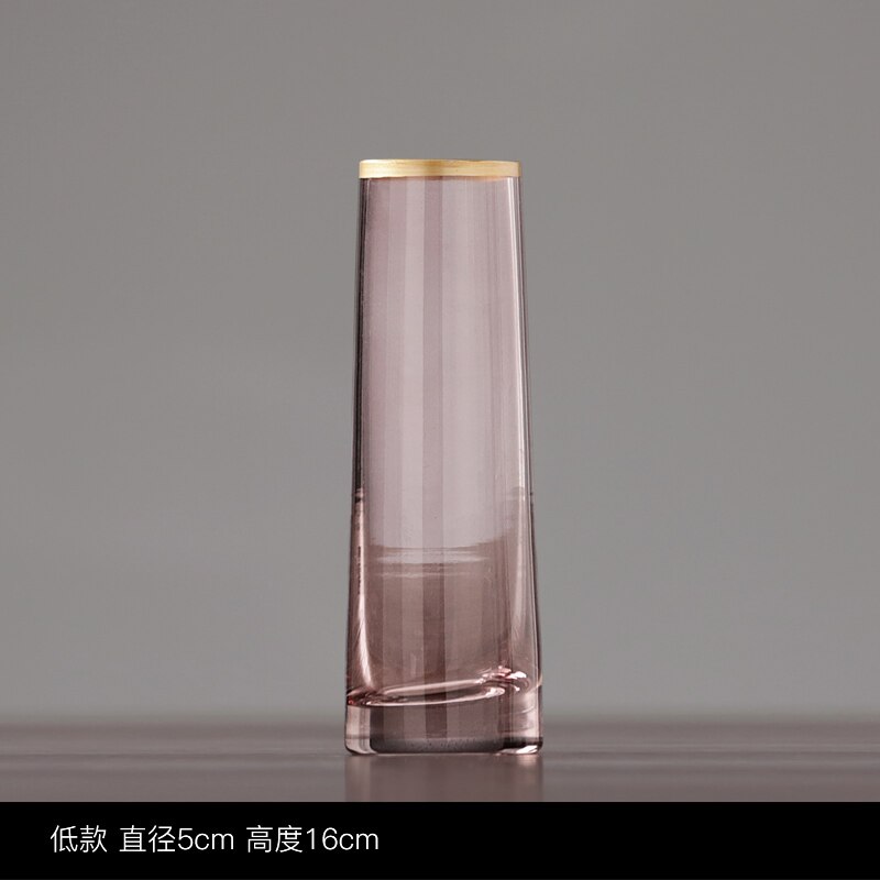 Jarrón de cristal embellecedor dorado, maceta de flor hidropónica gris, arreglo Floral, jarrones Rosa transparente, decoración del hogar, accesorios modernos: Pink 5cm x 16cm