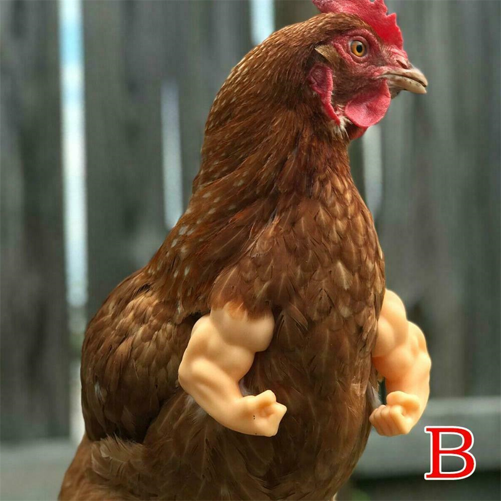 Brazos de pollo musculosos, de mordaza, brazo de pollo para llevar brazos musculosos, New1