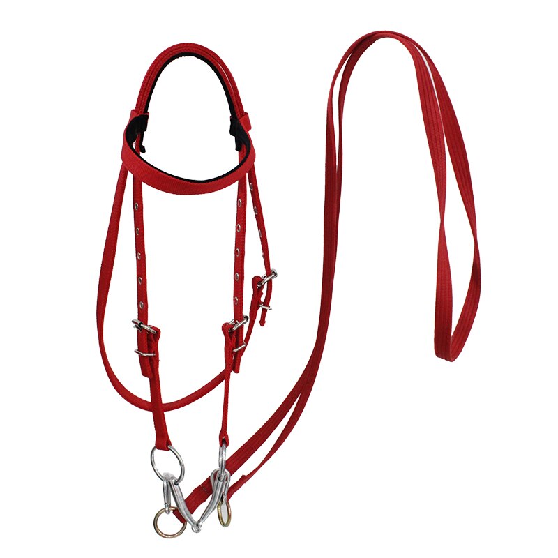 Shuiller redini bocca ferro cavallo mastica Kit imbracatura per cavalli dimensioni cavallino