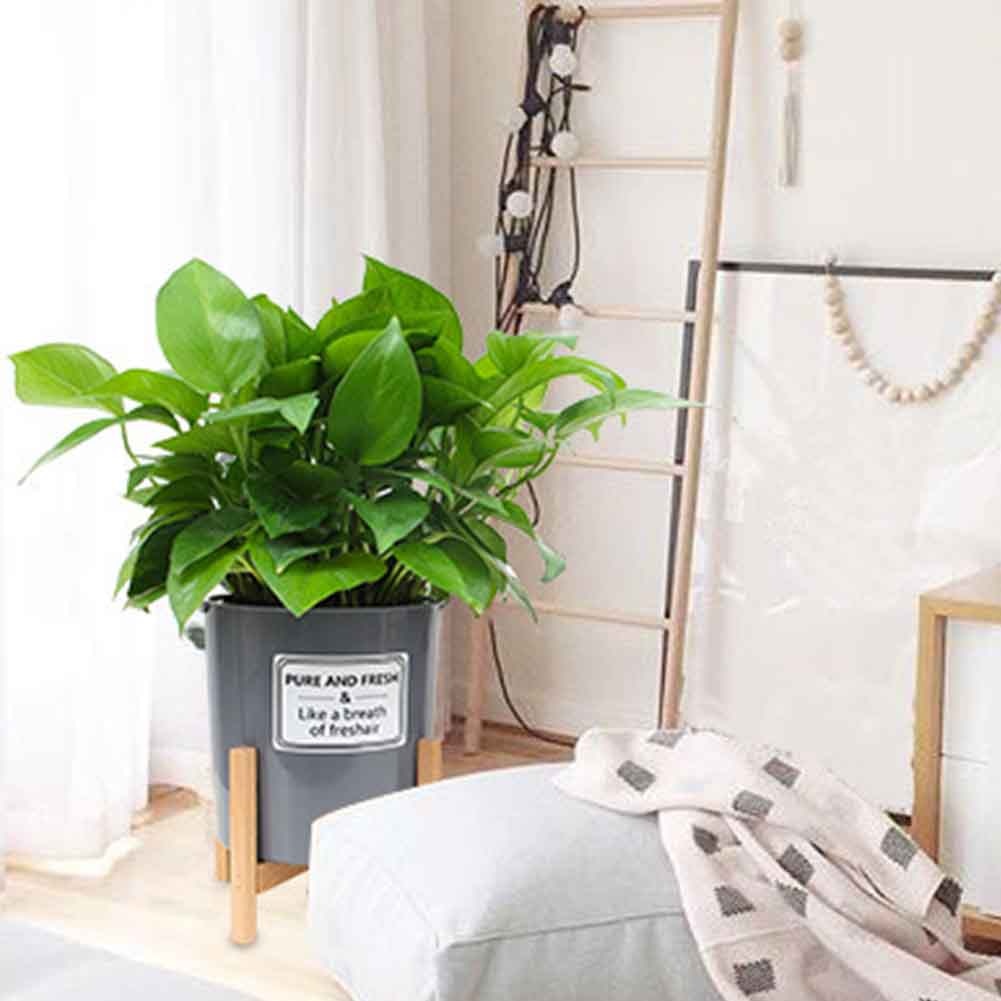 Mid Century Plant Stand Flower Pot Holder Display Rack Modern Non Wobbly Office Indoor Outdoor Home Decor Wood Shelf Bonsai