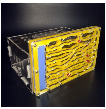 Acrylic Ants Nest Farm Insect Pet Cages Anthill Ecological Villas Student Biological Educational DIY Toy Granja de hormigas nid