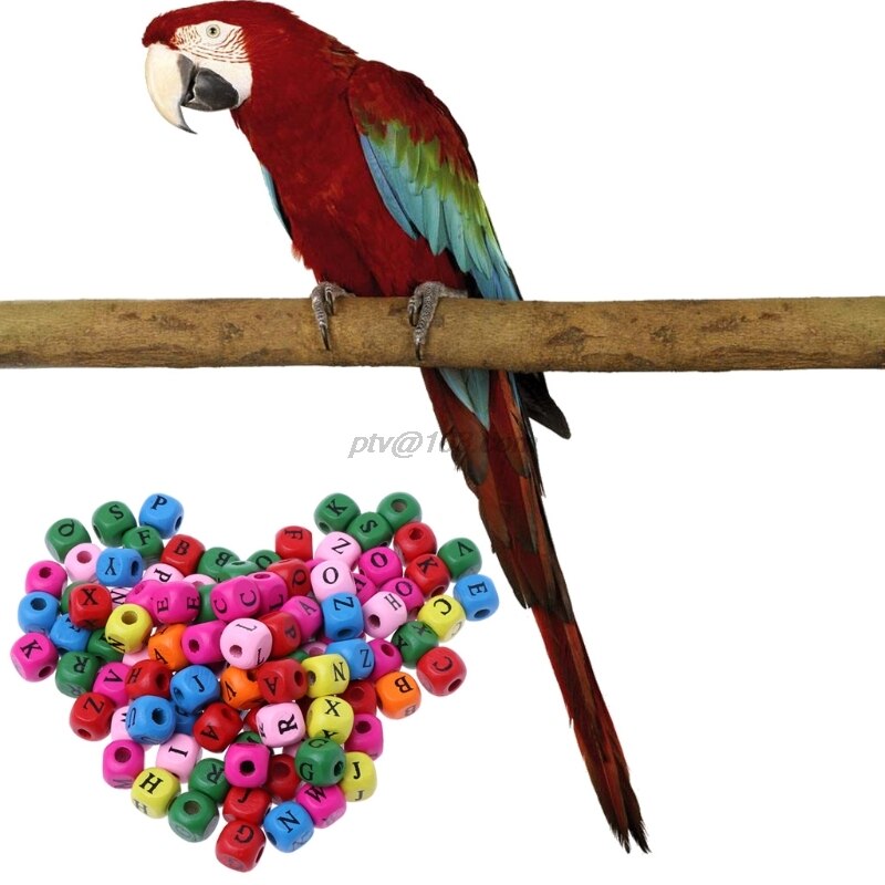 100 stk / pakke kæledyr diy firkantede perler fugle papegøje legetøj tilbehør til dekorationer