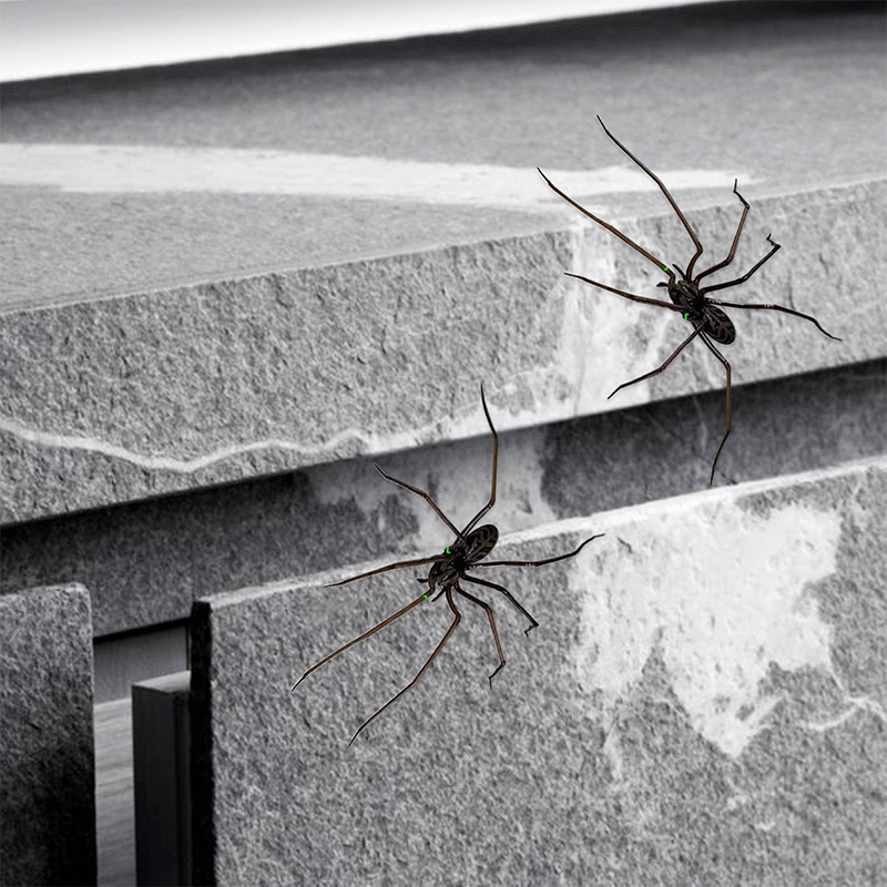 Magneti per frigorifero ragno arredamento per frigoriferi Divertenti novità Accessori magnetici per frigorifero Magnete per ragno Accessori per decorazioni per la casa