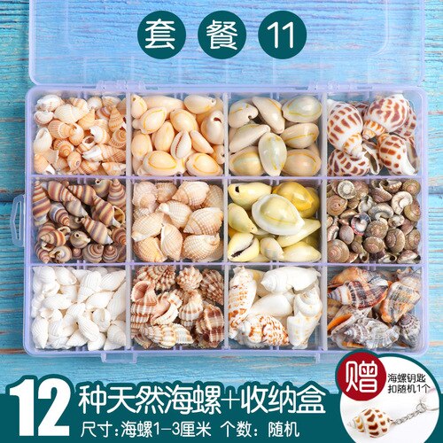 Natuurlijke Shell Schelp Exemplaren Populaire Wetenschappelijke Materialen Conch Geschenkdoos Kleuterschool Voorschoolse Mariene Biologie Collection Craft: 11