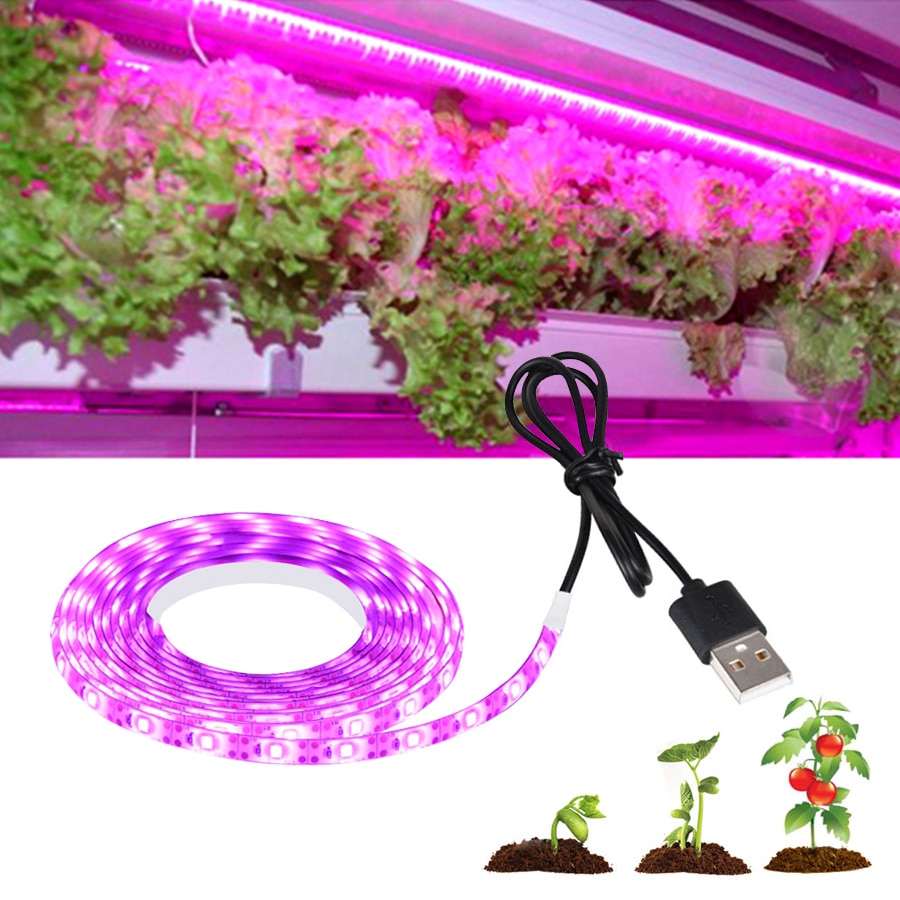 ledet vekstlys fullt spekter 0.5-3m 2835 smd 5v usb vokse lys stripe teip ledet phyto lampe til planter voksende plante lys teltboks