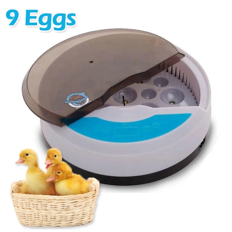 Pequeño hogar 9 incubadoras automática de temperatura constante incubadora de huevos de pollo, pato y pájaro incubadora de huevos de gallina Rutin