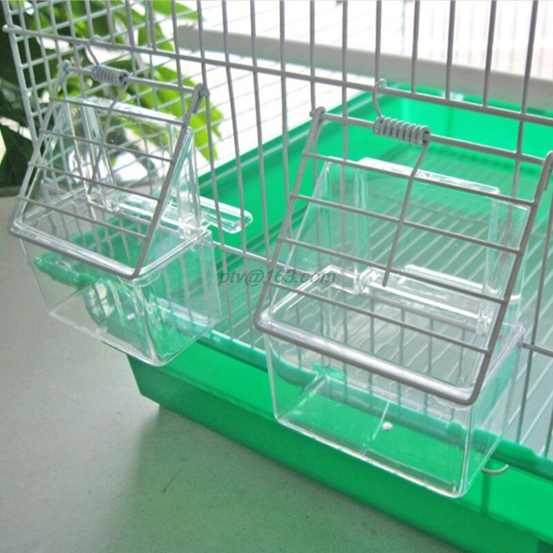 Papegoja fågel genomskinlig plast mat kopp skål företag rent vatten silo vattenlåda fågel tillbehör för parakiter kanarie