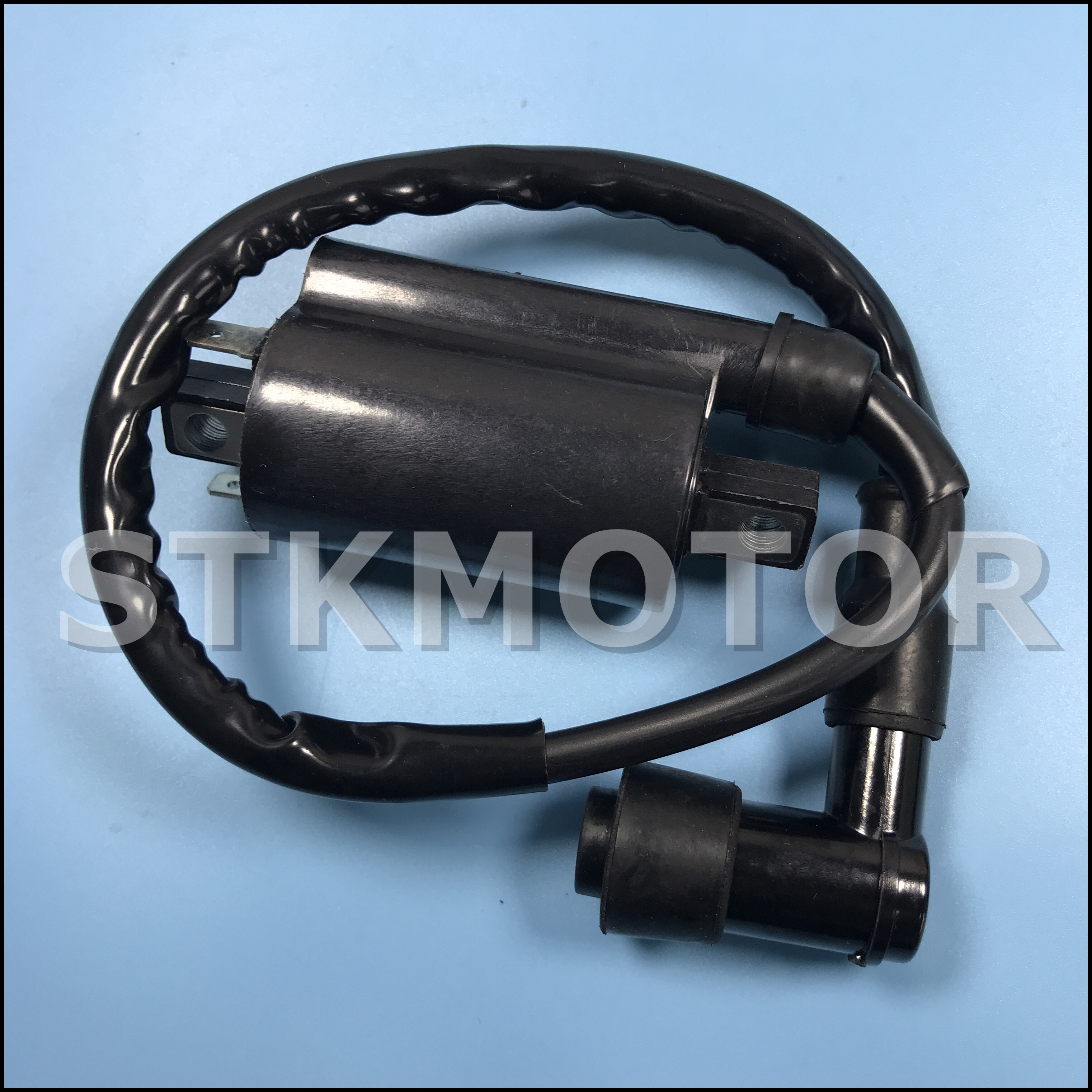 High Performance Motorcycle Ignition Coil for Buyang Feishen Linhai 260 260cc 300cc D300 G300 ATV Parts